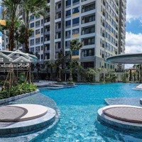 Cho Thuê Căn Hộ Masteri An Phú Quận 2, Diện Tích: 70M2, 2 Phòng Ngủ 2 Vệ Sinh Nhà Mới Đẹp, View Thoáng Mát. Giá 16 Triệu/Th.