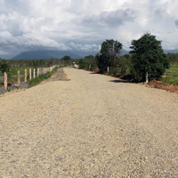 Bán Các Đất Giáp Ranh Dự Án Sun Group, Quanh Cổng Số 1 Sân Bay Dân Sự Thiện Nghiệp, Phan Thiết.