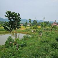 Bán 2.5ha đất rsx mặt đường 301 Ngọc Thanh, Phúc Yên, Vĩnh Phúc