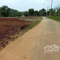 Bán Đất Đường Nhánh Quốc Lộ 56B, Bàu Chinh, Châu Đức, Bà Rịa Vũng Tàu, 550 Triệu, 110M2 Siêu Hot