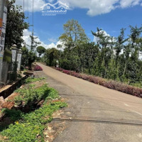 Bán Đất Đường Nhánh Quốc Lộ 56B, Bàu Chinh, Châu Đức, Bà Rịa Vũng Tàu, 550 Triệu, 110M2 Siêu Hot