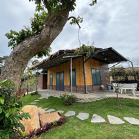 Bán Đất View Rừng Thông Cách Sân Bay Liên Khương 6Km, Giá Chỉ 2,9 Triệu/M2 Có Sẵn Thổ Cư Xây Dựng