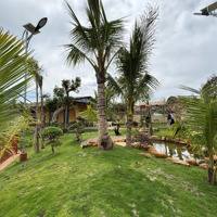 Bán Đất View Rừng Thông Cách Sân Bay Liên Khương 6Km, Giá Chỉ 2,9 Triệu/M2 Có Sẵn Thổ Cư Xây Dựng