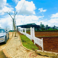 Đầu Tư Đất Nền Vị Trí Vàng Lợi Nhuận Cao