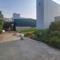 Bán Đất Nền Tại Xã Tam Hưng, Thanh Oai, Hà Nội, Giá Thỏa Thuận, 67 M2, Hàng Hiếm Tại Giá Tốt