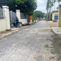 Bán Đất Tại Xã Trường Thọ, An Lão, Hải Phòng, Giá Tốt Chỉ Với 1,95 Tỷ, 100M2