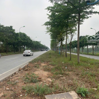 Chính Chủ Bán Lk16 Khu A,100M2, Đường 24M, Kinh Doanh, Cạnh Đại Học Tc-Nh.sổ Đỏ Chính Chủ, Giá Tốt.