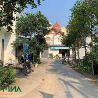 Chính chủ bán lô đất phân lô trung tâm Phường Hoa Động, TP Thủy Nguyên, Hải Phòng