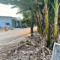 Cần Bán Đất Ở T.p Bến Tre Cách Chợ Phú Hưng 500M / Diện Tích: 100M2 Thổ Cư Toàn Bộ, Shr Giá Bán 535 Triệu.