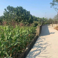 Lô Đất Ba Trại,Ba Vì,Hà Nội Có 19M Mặt Tiền Băng 2 Đường Tỉnh Lộ,Cách Tl87A Chỉ 100M,Gần Trường,Chợ