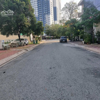 Bán Đất Đường Số 8, Khu Dân Cư Chánh Nghĩa, P.chánh Nghĩa, Tdm, Bd