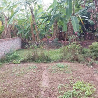 Bán Đất Thổ Cư Ở Thôn Thuận Quang Xã Dương Xá Gia Lâm, 68M2 Đường Vào2M Cách20M Ra Đường Oto, 2,8Tỷ