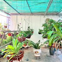 Cc Gấp, Bán Nhà Vũ Tông Phan - 71M2 -Mặt Tiền5M - Ngõ Thông Kinh Doanh - Chỉ 15 Tỷ