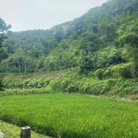 Hot! Chính Chủ Cần Bán Đất Xã Xuân Giao,Thành Phố Lào Cai