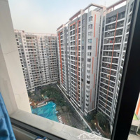 Bán Căn Hộ Safira Khang Điền, 1Pn+ 3.1 Tỷ Bao Phí Mua Bán