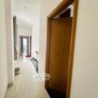 Cần Bán Nhà 2 Tầng Mặt Tiền Kinh Doanh Cực Hiếm 553M² Phú Hòa, Thủ Dầu Một Giá Bán 36 Tỷ Tl
