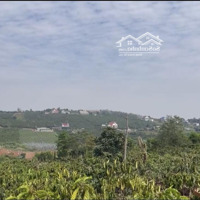 Đất Nam Hà 1.200M, Ngang Khủng 24M Giá Chỉ 1,25 Tỷ