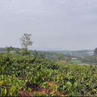 Đất Nam Hà 1.200M, Ngang Khủng 24M Giá Chỉ 1,25 Tỷ