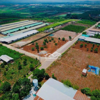 Đất Nền Bình Thạnh Ven Đà Lạt. Đường Nhựa 30M. Hạ Tầng Hoàn Thiện. Khu Dân Cư Sh Riêng Từng Nền