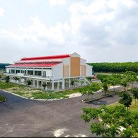 Bán Đất Nền Giá Cực Chất Tại Đt 619, Long Nguyên, Bàu Bàng, Bình Dương, 1,05 Tỷ, 120M2