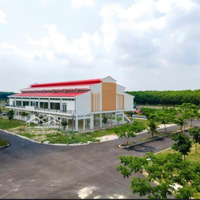Bán Đất Nền 95M2 Tại Dh619, Long Nguyên, Bàu Bàng, Bình Dương, 1,05 Tỷ, Hot, Uy Tín