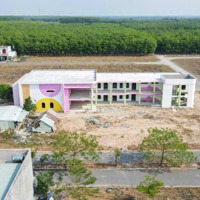 Bán Đất Nền Tại Dh619, Long Nguyên, Bàu Bàng, Bình Dương, Giá Tốt, 95M2