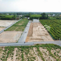 Bán Đất Tại An Viễn, Trảng Bom, Đồng Nai, 100M2