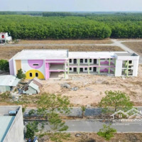 Bán Đất Nền Dự Án Tại Đường Dh619, Xã Long Nguyên, Bàu Bàng, Bình Dương, 1,05 Tỷ, 95 M2 - Hot