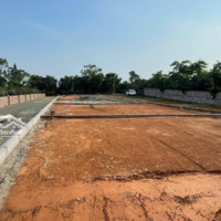 Cần Tiền Bán Gấp Em Có 24 Lô Ở Hòa Thạch Giá F0, Sẵn Sổ Sang Tên Ngay. Lh Em: 0819779977
