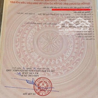 Bán Đất Đấu Giá Lô Góc 2 Mặt Tiền Thoáng, Vị Trí Siêu Đẹp Huyện Phúc Thọ. Sổ Chính Chủ, Giá 38 Triệu/M2
