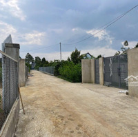 Hàng Hiếm Lô Đất 529M2 Sẵn Thổ Cư Ngay Trung Tâm Bảo Lộc Thích Hợp Làm Nhà Vườn Nghỉ Dưỡng, Đầu Tư