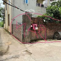 Bán Đất Chính Chủ Bán Đất Lô Góc Ngõ 100 Phố Hạ Trại, Phường Cự Khối, Long Biên