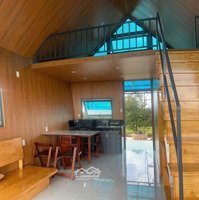 Đất Tại Đinh Trang Hòa - Ôm Trọn Thiên Nhiên, Giá Chỉ Từ 570 Triệu, Sổ Hồng Riêng