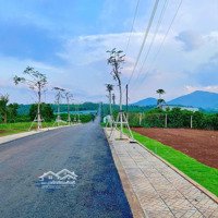 Đất Tại Đinh Trang Hòa - Ôm Trọn Thiên Nhiên, Giá Chỉ Từ 570 Triệu, Sổ Hồng Riêng