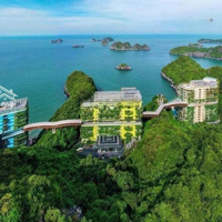 Bán Căn Hộ Nghỉ Dưỡng Flamingo Cát Bà, View Biển Cát Cò Tuyệt Đẹp, Trọn Tiện Ích, 69M2, 5.2 Tỷ