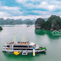 Bán Căn Hộ Nghỉ Dưỡng Flamingo Cát Bà, View Biển Cát Cò Tuyệt Đẹp, Trọn Tiện Ích, 69M2, 5.2 Tỷ
