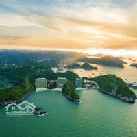 Bán Căn Hộ Nghỉ Dưỡng Flamingo Cát Bà, View Biển Cát Cò Tuyệt Đẹp, Trọn Tiện Ích, 69M2, 5.2 Tỷ