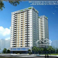 Chung Cư Mới Huy Hùng Đại Lộ Lê Nin Vị Trí Đắc Địa Sắp Bàn Giao Vào Ở . Liên Hệ: 0942.995.498