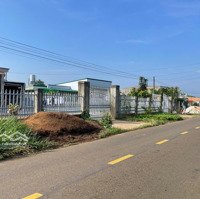 Gần 1.3 Sào Sẵn Thổ Cư Mặt Tiền Chính Tứ Quý - Lộc An - Bảo Lâm Thích Hợp Làm Nhà Vườn Nghỉ Dưỡng