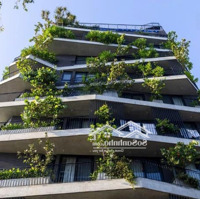 Bán Gấp Căn Nhà Nở Hậu Phong Thủy Mặt Tiền Nguyễn Đình Chiểu, Quận 3-7X20M,Nh11,5M-Hầm+7 Tầng.