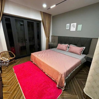 Hàng Hót! Gấp Cần Bán Tòa Chdv Hồng Hà Q.tân Bình -Diện Tích8X22M Hầm 5 Tầng Có Hđt 150 Triệu Chỉ 30 Tỷ