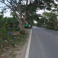 Bán Đất Ngô Quang Thắm Mặt Đường Rộng 20M 575M2 Có 200M Thổ Cư Bán 13,9 Tỷ.