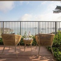 Sốc Bán 2,3 Tỷ Căn 5* Flamingo Cát Bà, Sổ Đỏ 40M2 View Biển Ban Công Rộng Lợi Nhuận Ngay