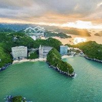 Sốc Bán 2,3 Tỷ Căn 5* Flamingo Cát Bà, Sổ Đỏ 40M2 View Biển Ban Công Rộng Lợi Nhuận Ngay