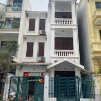 Bán Nhà Khu Cư Xá Bác Hải - Mặt Tiền Bạch Mã, P 15, Q 10 - 8X26M - Hđt: 170 Triệu/Tháng - Giá Bán 39 Tỷ