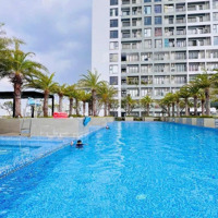 Giỏ Hàng 50 Căn Cuối Cđt Giá Tốt Nhất Trục Nguyễn Hữu Thọ, 30% Nhận Nhà Ở Ngay, Vcb Hỗ Trợ Vay 0%,.
