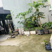 Bán Gấp Đất Đại Cát Ô Tô Vào Đất, Sân Rộng, 52M2,Mặt Tiền5M, Giá Chỉ 4.95 Tỷ