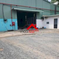 Bán xưởng Phú Chánh, Thủ Dầu Một, Bình Dương – 3245m² đất, xưởng 1000m², giá 6.5 triệu/m². Liên hệ: Chothuexuongmiennam.com - 0366632092