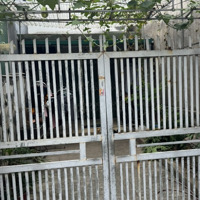 Bán 80M2 Đất Kiêu Kỵ Gia Lâm Giá Bán 5,8 Tỷ