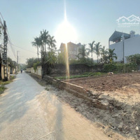 Bán Đất Tại Xã Đồng Tháp, Đan Phượng, Hà Nội, 6,09 Tỷ, 101,5 M2 - Hàng Hiếm Tại Chỉ Với
